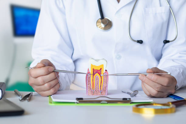 Best Tooth Pain Emergency Relief  in Youngsville, NC